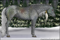 Horse Color:Platinum Silver Black Chinchilla 