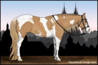 Horse Color:Chestnut Sabino Tobiano