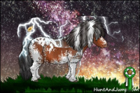 Horse Color:White Spotted Bay Appaloosa