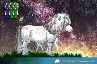 Horse Color:White Spotted Bay Appaloosa