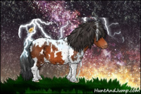 Horse Color:White Spotted Bay Tobiano Appaloosa 