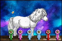 Horse Color:White Spotted Bay Chinchilla Appaloosa 