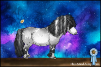 Horse Color:White Spotted Bay Chinchilla 