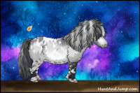 Horse Color:White Spotted Bay Chinchilla Appaloosa 