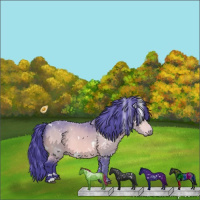 Horse Color:Watercolor White Spotted Bay Chinchilla 