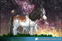 Horse Color:White Spotted Bay 