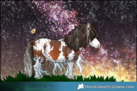 Horse Color:White Spotted Bay Splash Appaloosa