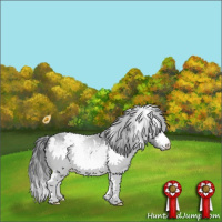 Horse Color:White Spotted Brown Chinchilla Varnish 