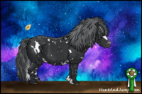 Horse Color:White Spotted Black Chinchilla Appaloosa