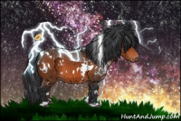 Horse Color:White Spotted Brown 