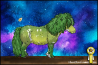 Horse Color:Watercolor White Spotted Bay Appaloosa 