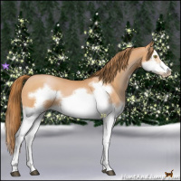Horse Color:Bay Pearl Splash Frame 