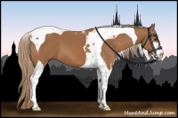 Horse Color:Chestnut Sabino Tobiano