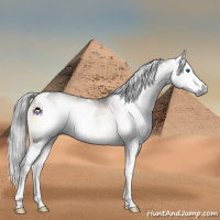 Horse Color:Gray White Spotted Brown Ice Onyx Mushroom Splash 