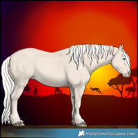 Horse Color:Cremello 