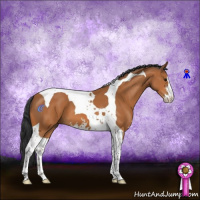 Horse Color:Bay Sabino Tobiano 