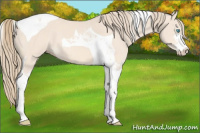 Horse Color:Perlino Sabino Tobiano 