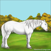 Horse Color:Platinum White Spotted Perlino Splash 