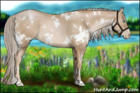 Horse Color:White Spotted Chocolate Palomino Pearl