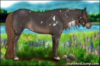 Horse Color:White Spotted Liver Red Roan Rabicano
