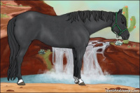 Horse Color:Blue Roan 