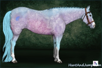 Horse Color:Watercolor Brown Ice Rabicano 