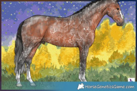 Horse Color:Gray Bay Ice and Gray Bay Ice