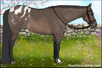 Horse Color:Brown Dun Blanket Brindle
