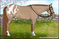 Horse Color:Red Dun Appaloosa Brindle