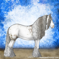 Horse Color:Liver Red Dun Mushroom Sabino Splash Rabicano Brindle 