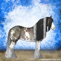 Horse Color:White Spotted Brown Dun Mushroom Sabino Splash Rabicano 