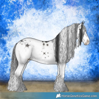 Horse Color:Grullo Sabino Splash