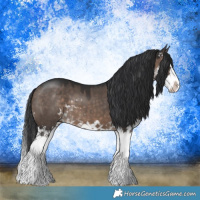 Horse Color:Brown Dun Mushroom Sabino Splash 