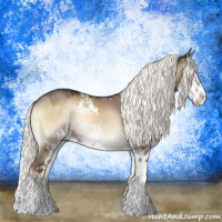 Horse Color:Liver Red Dun Onyx Mushroom Sabino Splash 