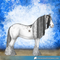 Horse Color:Grullo Mushroom Sabino Splash Rabicano 