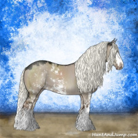 Horse Color:Liver Red Dun Mushroom Sabino Splash Rabicano 