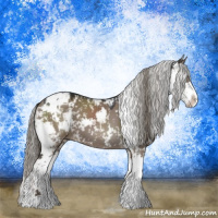 Horse Color:Liver Red Dun Mushroom Sabino 