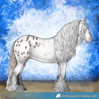 Horse Color:Liver Red Dun Appaloosa Rabicano 