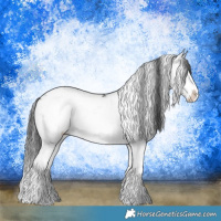 Horse Color:Grullo Sabino Rabicano Brindle 