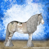 Horse Color:Liver Red Dun Mushroom Sabino 