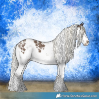 Horse Color:Liver Red Dun Mushroom Sabino Splash Brindle 