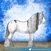 Horse Color:Grullo Mushroom Sabino Rabicano 