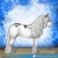 Horse Color:Liver Red Dun Mushroom Sabino Splash Rabicano