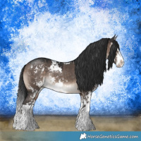 Horse Color:Brown Dun Mushroom Sabino Splash Rabicano 