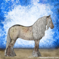 Horse Color:Liver Red Dun Mushroom Sabino Rabicano Brindle 