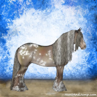Horse Color:White Spotted Liver Red Dun Mushroom Sabino Rabicano 