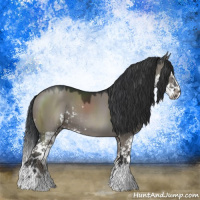 Horse Color:Grullo Mushroom Sabino Splash