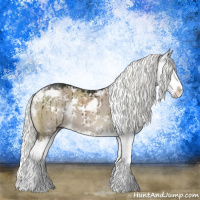 Horse Color:Liver Red Dun Mushroom Sabino Splash Brindle 