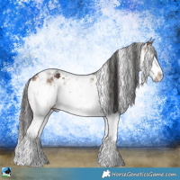 Horse Color:Bay Dun Mushroom Sabino Brindle 