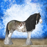 Horse Color:Brown Dun Sabino Splash Rabicano Brindle